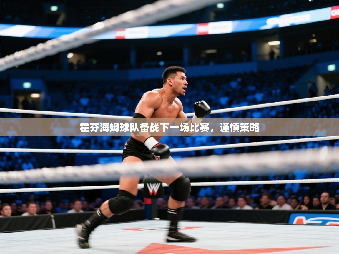 霍芬海姆球队备战下一场比赛,谨慎策略 第2张