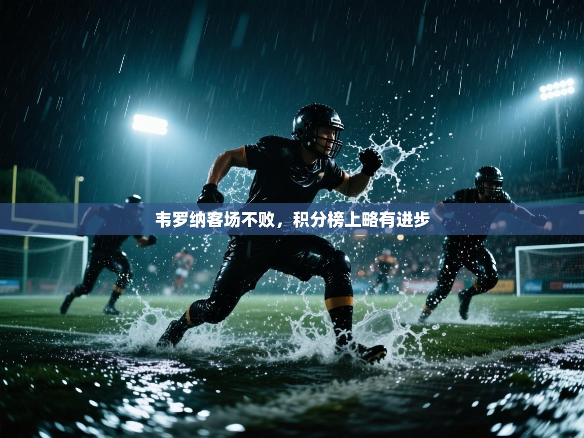 韦罗纳客场不败，积分榜上略有进步