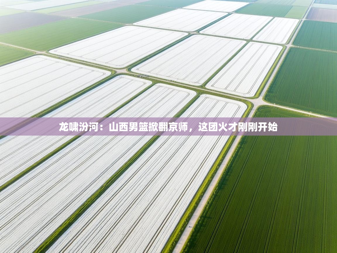 龙啸汾河：山西男篮掀翻京师，这团火才刚刚开始  第1张