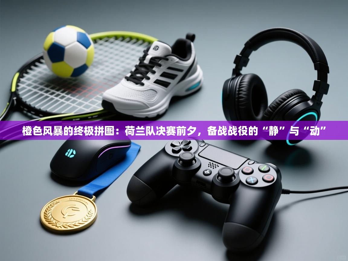 橙色风暴的终极拼图：荷兰队决赛前夕，备战战役的“静”与“动”  第2张